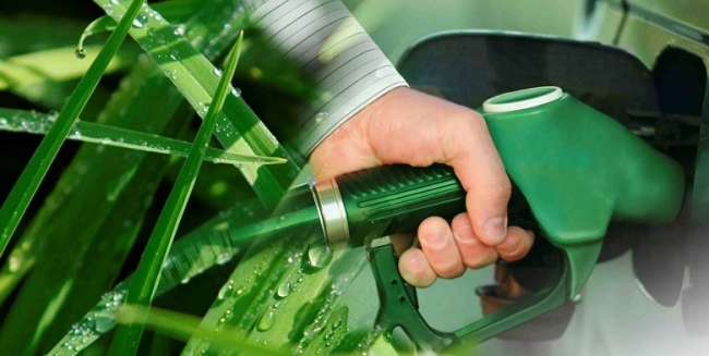 Fijan los nuevos precios de los biocombustibles