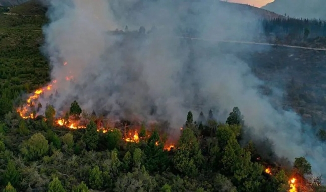 El gobierno de Río Negro despliega todos los recursos para contener el incendio forestal en El Bolsón
