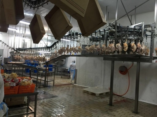 Paran una planta de Granja Tres Arroyos, por falta de pago de salarios