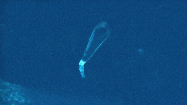 Rusia prueba el complejo submarino Poseidón