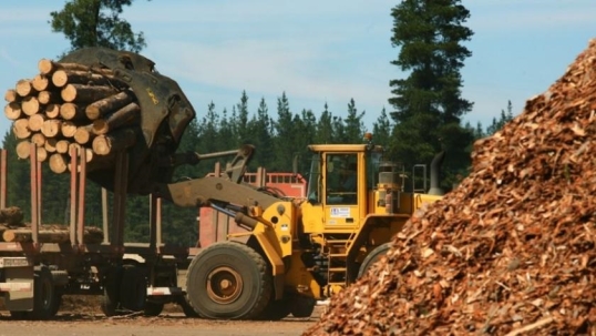 Advierten que la forestoindustria argentina está al límite