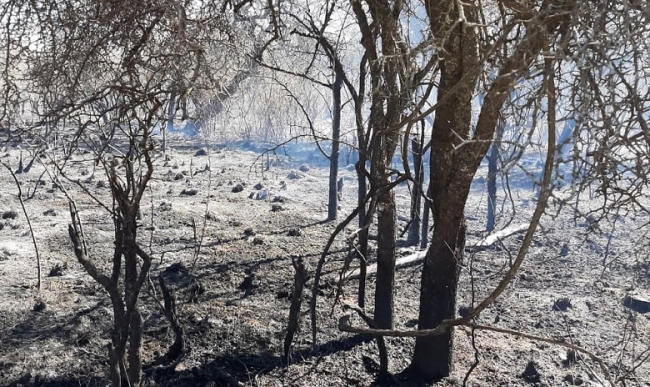 Córdoba: Controlaron el incendio en Punilla, pero que se mantiene el riesgo extremo