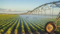Río Negro: El Gobierno provincial busca créditos para el sistema de riego rural