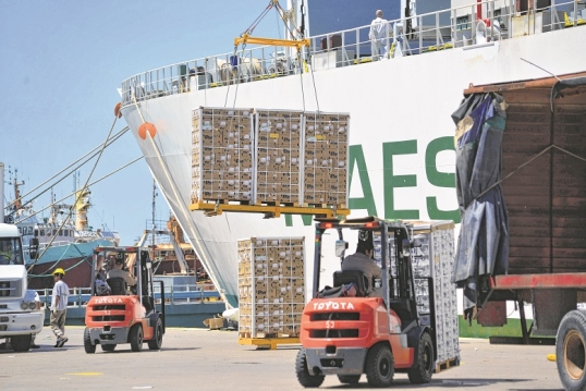 Las exportaciones de manzanas cayeron un 46% interanual durante junio