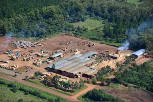 Misiones: Cierra el aserradero Linor y quedan en la calle unas 130 familias