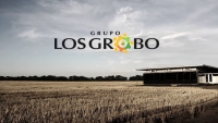 Los Grobo agropecuaria y Agrofina entraron en default por más de $400.000 millones