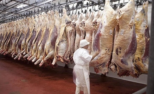 Estados Unidos autorizó la importación de 300.000 toneladas de carne, excluyendo a la Argentina