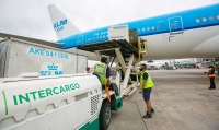 El Gobierno despide a 15 empleados de Intercargo