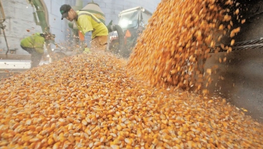 El Gobierno oficializó la baja de retenciones a cereales