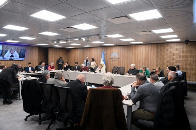 Rosato denuncia irregularidades en facturación de energía para PyMEs industriales