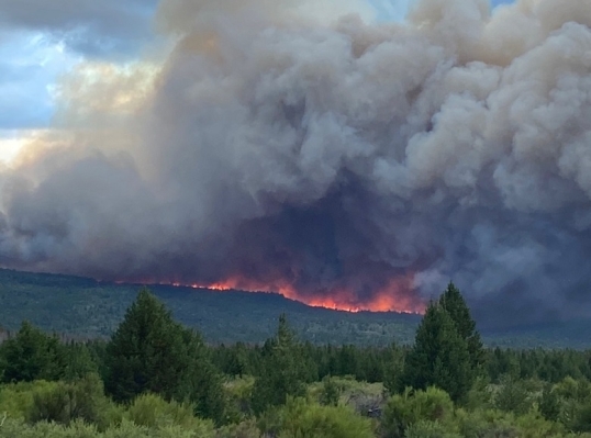 El Gobierno de Milei recortó el 78% los fondos para el combate de los incendios