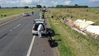 Volcó un camión que transportaba pollos en el kilómetro 376, de la ruta 2 y la gente se los llevó