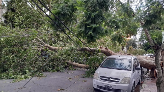Fuerte temporal de lluvia, viento y granizo en Mar del Plata