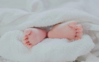 Desmienten a Milei: el aborto no causa la baja de tasas de fecundidad