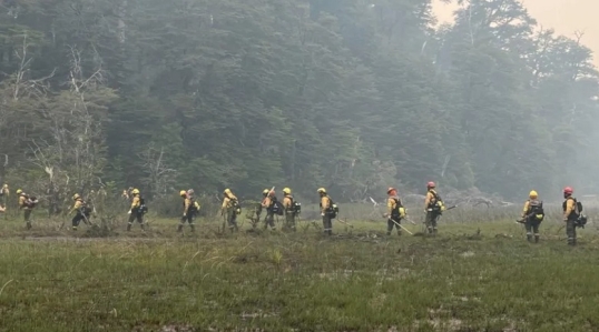 Bariloche: “Los brigadistas que están combatiendo el incendio en Los Manzanos no tienen la renovación de sus contratos”