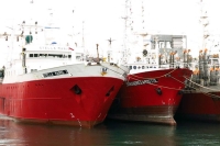 «Celebran la rebaja temporal de un arancel sobre la pesca, pero es insuficiente»
