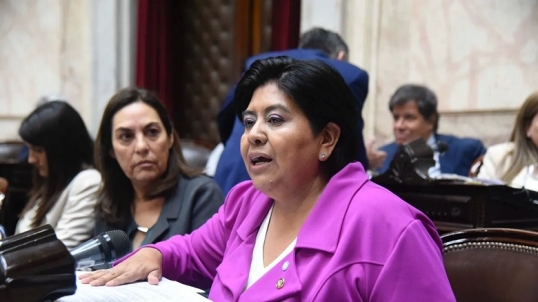 Repudian el voto del Gobierno contra los Pueblos Indígenas en la ONU