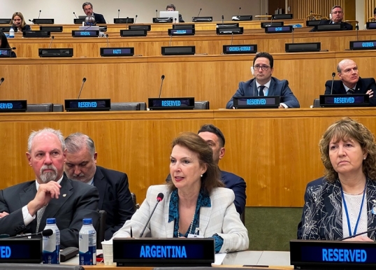 Islas Malvinas: con amplio apoyo, la ONU reiteraron el llamado al Reino Unido y a la Argentina a reanudar las negociaciones de soberanía