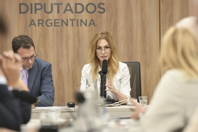 Lilia Lemoine preside la Comisión de Juicio Político de la Cámara de Diputados