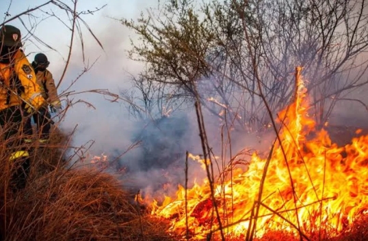 La Rioja: Ya se quemaron 900 hectáreas forestales y por el clima se complica el trabajo
