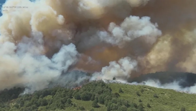 Milei eliminó el Fideicomiso del Fondo Nacional del Manejo del Fuego