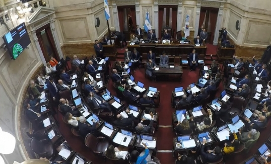 El Senado comienza a tratar en comisión el aumento del presupuesto universitario