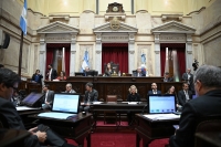 El Senado aprobó el traspaso de la justicia de menores y competencias penales a CABA