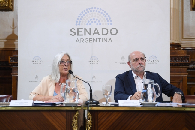 El Senado aprobó en comisión dictamen para adecuar la ley de Glaciares y el debate pasó al 10 de febrero