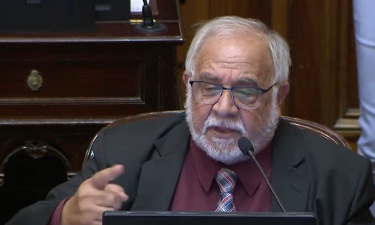 El senador libertario, Juan Carlos Pagotto, quiso abrir la puerta a la legalización de la venta de niños
