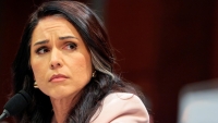 Tulsi Gabbard denuncia ataques por destapar biolaboratorios de EE.UU. en Ucrania
