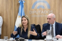 En comisión diputados inician el debate para la reforma de la ley de DNU
