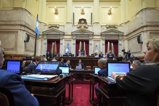 El oficialismo logró la suspensión de las PASO