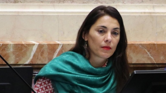 Denuncian penalmente a la senadora Lucila Crexell, por el presunto delito de «dádivas» para votar a favor