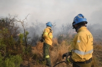 Córdoba: Martín Llaryora recorrió la zona afectada por los incendios y pidió que los responsables sean sancionados