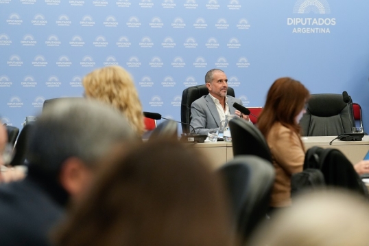 Obtuvo dictamen el proyecto de Inocencia Fiscal II en diputados